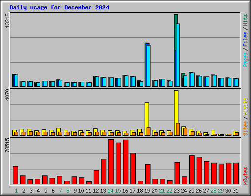 Daily usage for December 2024
