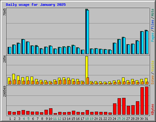 Daily usage for January 2025