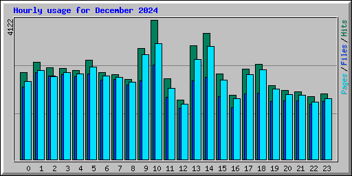 Hourly usage for December 2024