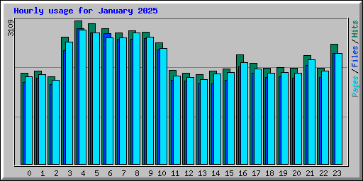 Hourly usage for January 2025