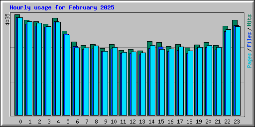 Hourly usage for February 2025