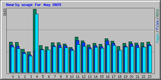 Hourly usage for May 2025