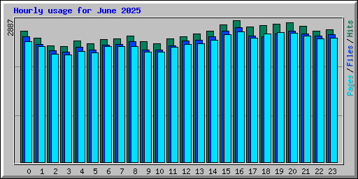 Hourly usage for June 2025