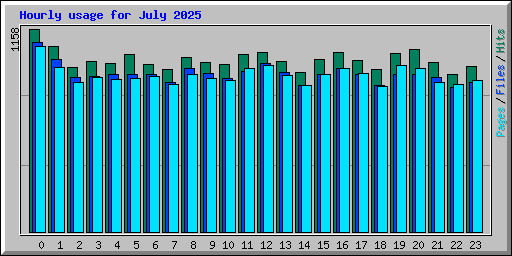 Hourly usage for July 2025